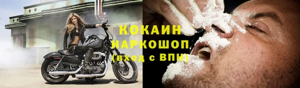 шишки Беломорск