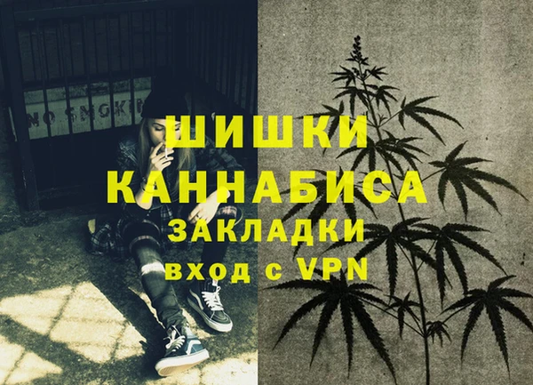 шишки Беломорск