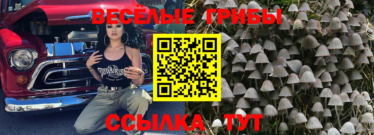 Галлюциногенные грибы мицелий Северск